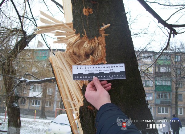 Генеральная прокуратура расследует уголовные дела, возбужденные в отношении командиров ВСУ Генеральная прокуратура расследует уголовные дела, возбужденные в отношении командиров ВСУ